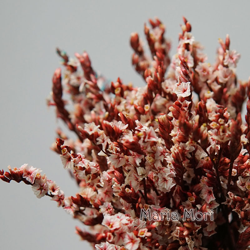 Baby Breath Dried - 5g/colorido dired preservado cristal grama casa