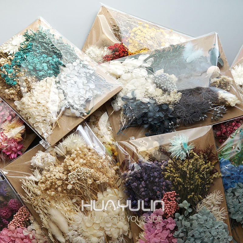 Baby Breath Dried - 1 pacote de plantas artificiais secas