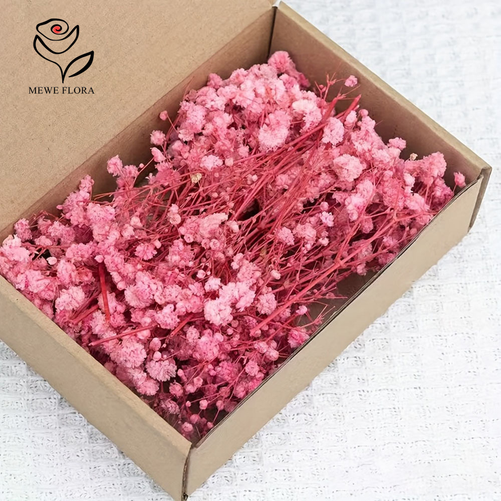 Baby Breath Dried - 100 galhos pequenos secos flores de
