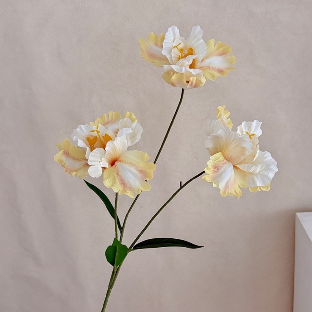 Novo Buquê de Flores Artificia - Baby Breath Dried avaliação e preço