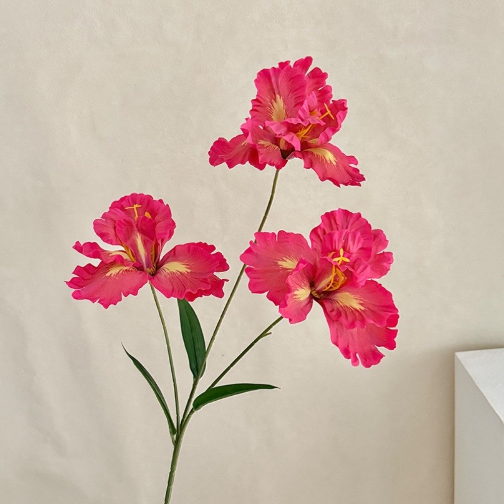 Novo Buquê de Flores Artificia - Baby Breath Dried avaliação e preço