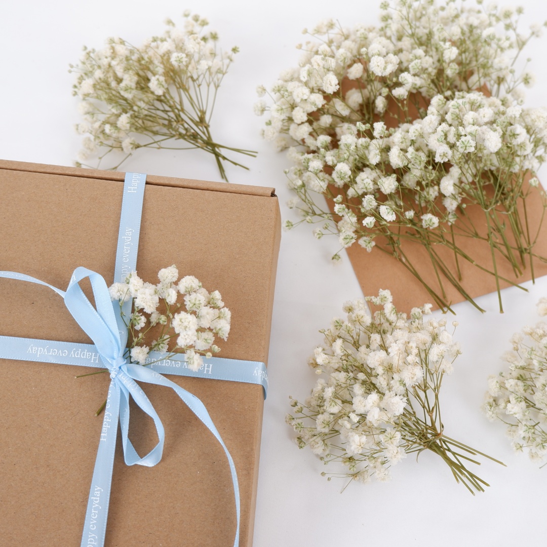 Flores secas brancas mini baby - Baby Breath Dried avaliação e preço