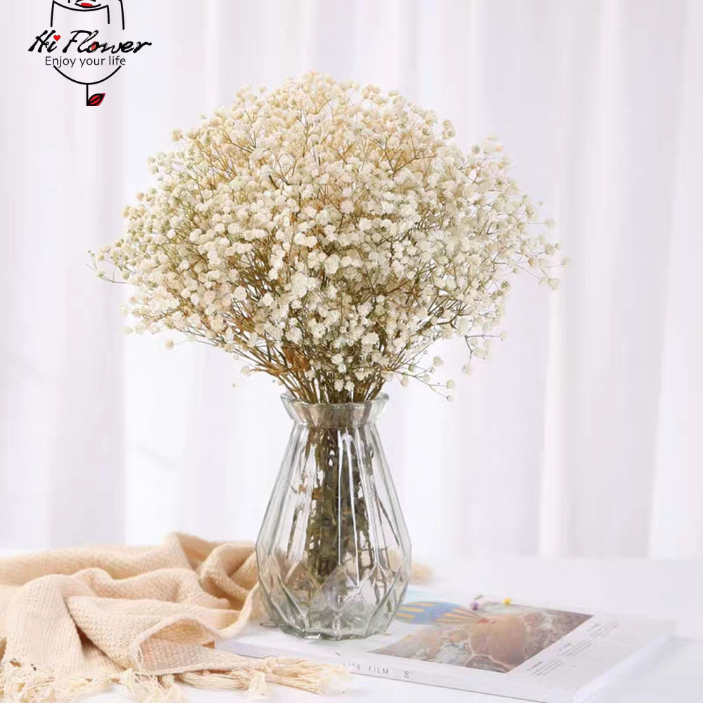Flores secas naturais preserva - Baby Breath Dried avaliação e preço