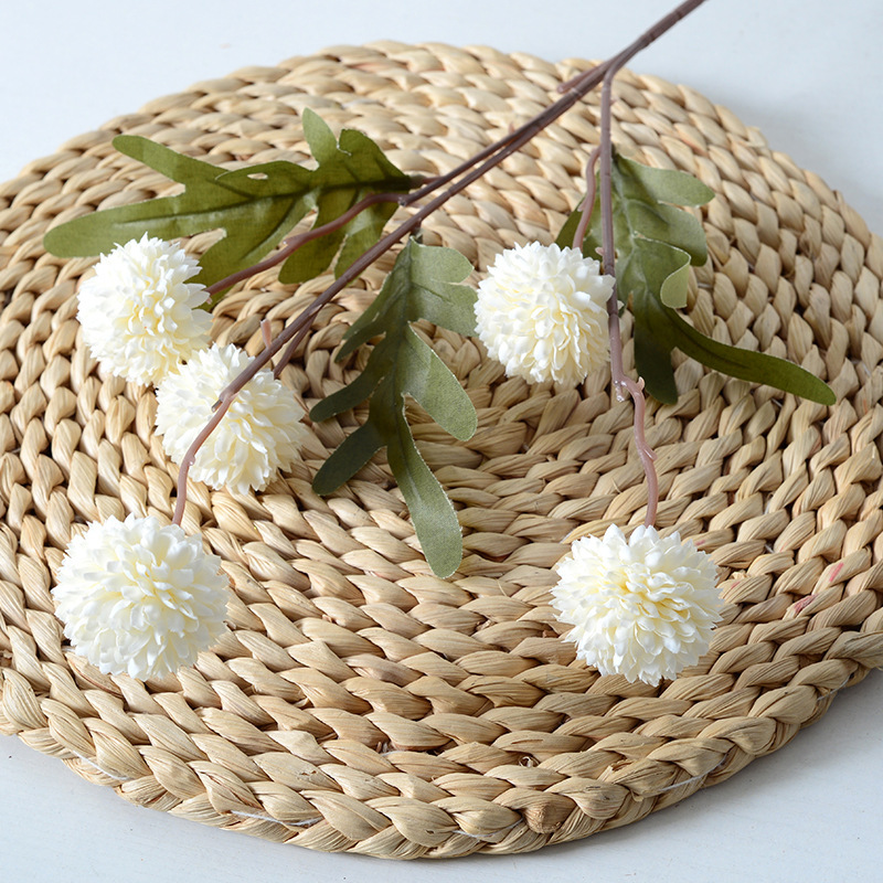 5 cabeças dandelion flores art - Baby Breath Dried avaliação e preço