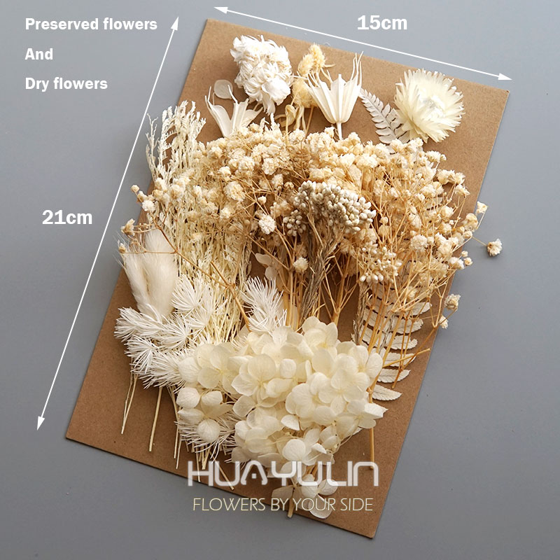 1 pacote de plantas artificiai - Baby Breath Dried avaliação e preço