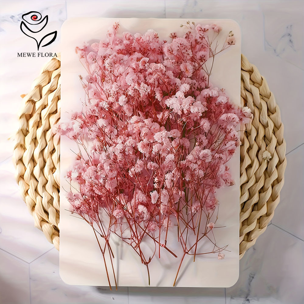 100 galhos pequenos secos flor - Baby Breath Dried avaliação e preço