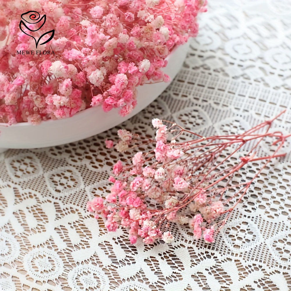 100 galhos pequenos secos flor - Baby Breath Dried avaliação e preço